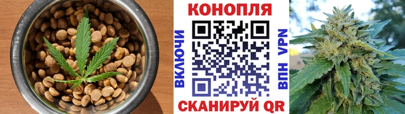 Еда ТГК конопля хочу наркоту Новочеркасск