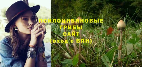 стаф Алзамай