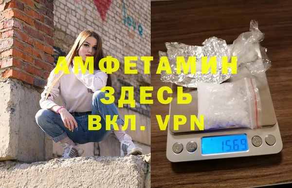 стаф Алзамай