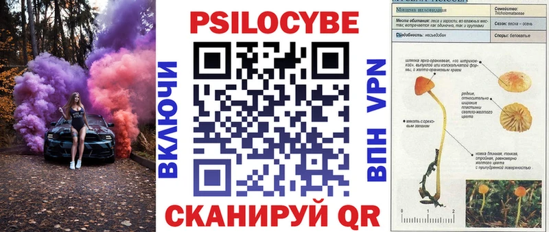 Галлюциногенные грибы мухоморы  Новочеркасск 